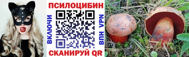 Купить где  Озёрск  Галлюциногенные грибы Magic Shrooms 