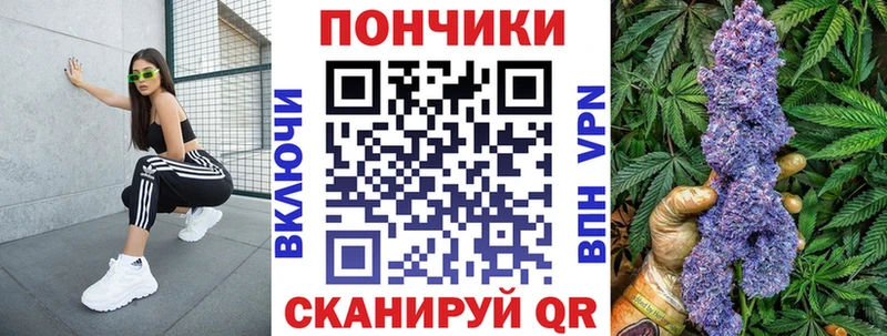 Купить закладки  Озёрск  Бошки марихуана AK-47 